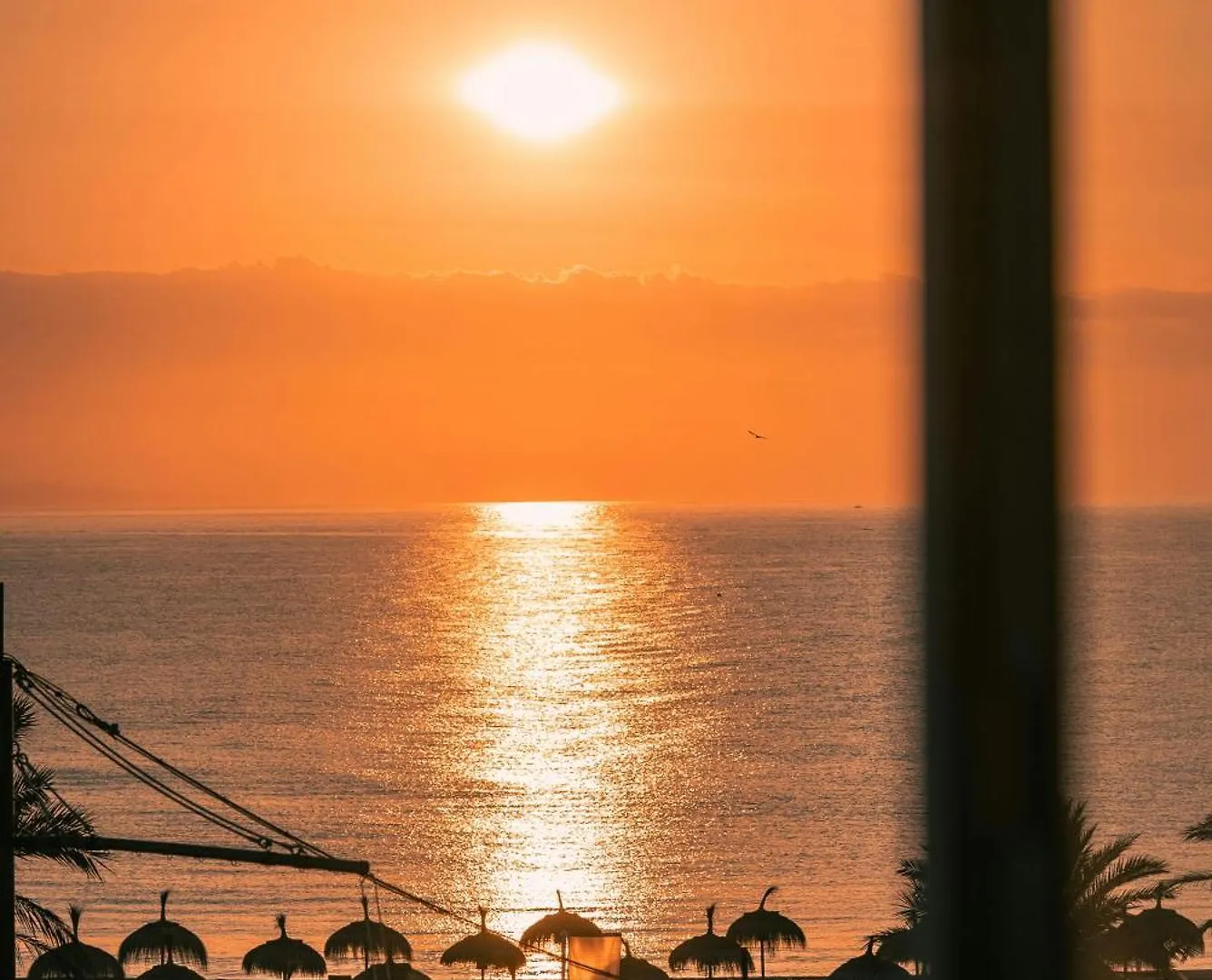 Gæstehus Hotel Casa Dalia Marbella